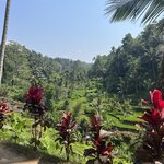 Photo taken by Brittany Leslie Lynn S