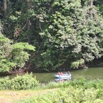 Photo taken by Edit M