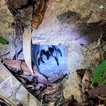 Photo taken by Bailey W