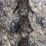 Photo taken by Jason C