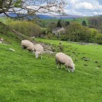 Photo taken by Derek M