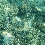 Photo taken by Dixie W