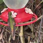 Photo taken by Mark A