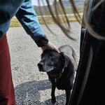 Photo taken by Scott C