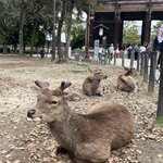 Photo taken by Marianne O