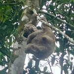 Photo taken by Robin W