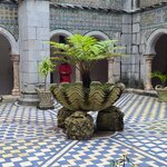 Photo taken by Laura R