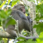 Photo taken by John Mark W