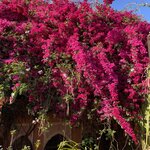 Photo taken by Tara Z