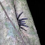 Photo taken by Tiphanny C