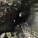 Photo taken by Carrie A