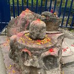 Photo taken by Wayne D