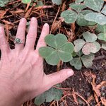 Photo taken by kirsten b