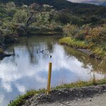 Photo taken by Janine N