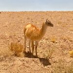 Photo taken by Carmen P