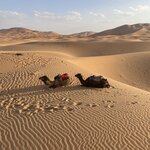 Photo taken by Allison O