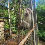 Photo taken by Amy M