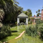 Photo taken by Vivianh H