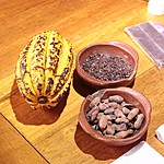 Photo taken by Marcia G