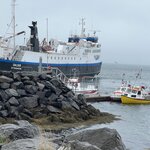 Photo taken by Tom B