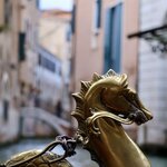 Photo taken by Kris B