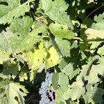 Photo taken by Sarah M