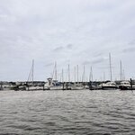 Photo taken by Shamma L