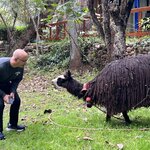 Photo taken by joy w