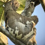 Photo taken by Cathy V