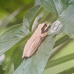 Photo taken by Mathew S