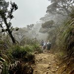 Photo taken by Rob C