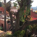 Photo taken by Zoe G