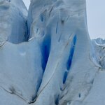 Photo taken by Yelena L