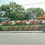 Photo taken by Chris T