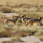 Photo taken by Joaquin M