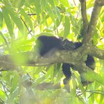 Photo taken by Ceinwen P