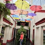 Photo taken by Rebecca B