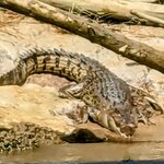 Photo taken by Judy H