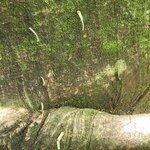 Photo taken by Darla D