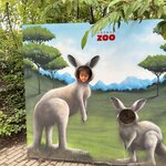 Photo taken by Jill B