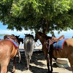 Photo taken by Lauren A