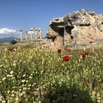 Photo taken by Shawn G