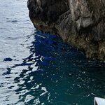 Photo taken by Judi S