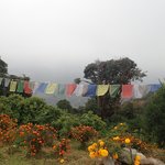 Photo taken by Katherine J