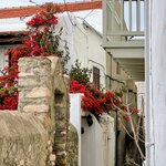 Photo taken by Anita H