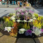 Photo taken by joyce h