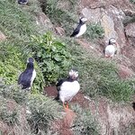 Photo taken by Denise H