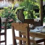 Photo taken by Juliette S