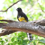 Photo taken by Graeme W