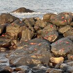 Photo taken by Mark A